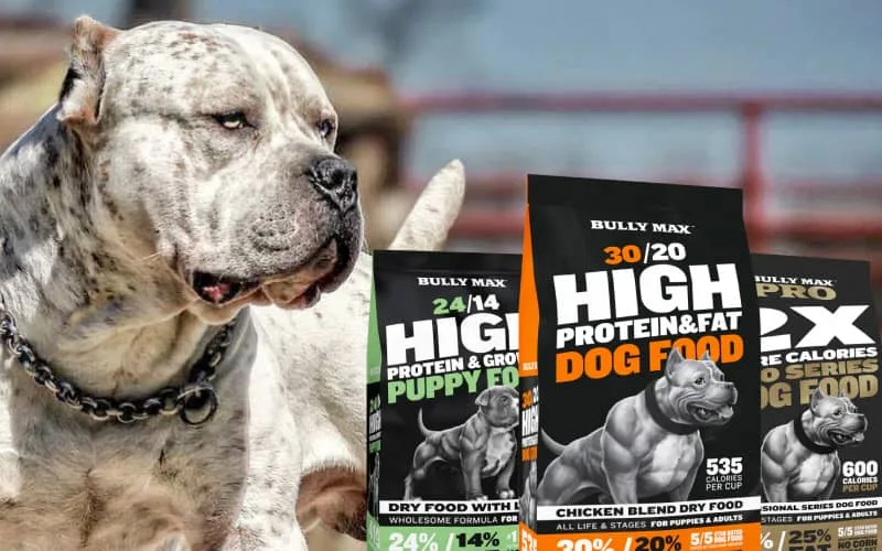 How Bully Max achieved 120% increase in customer support revenue