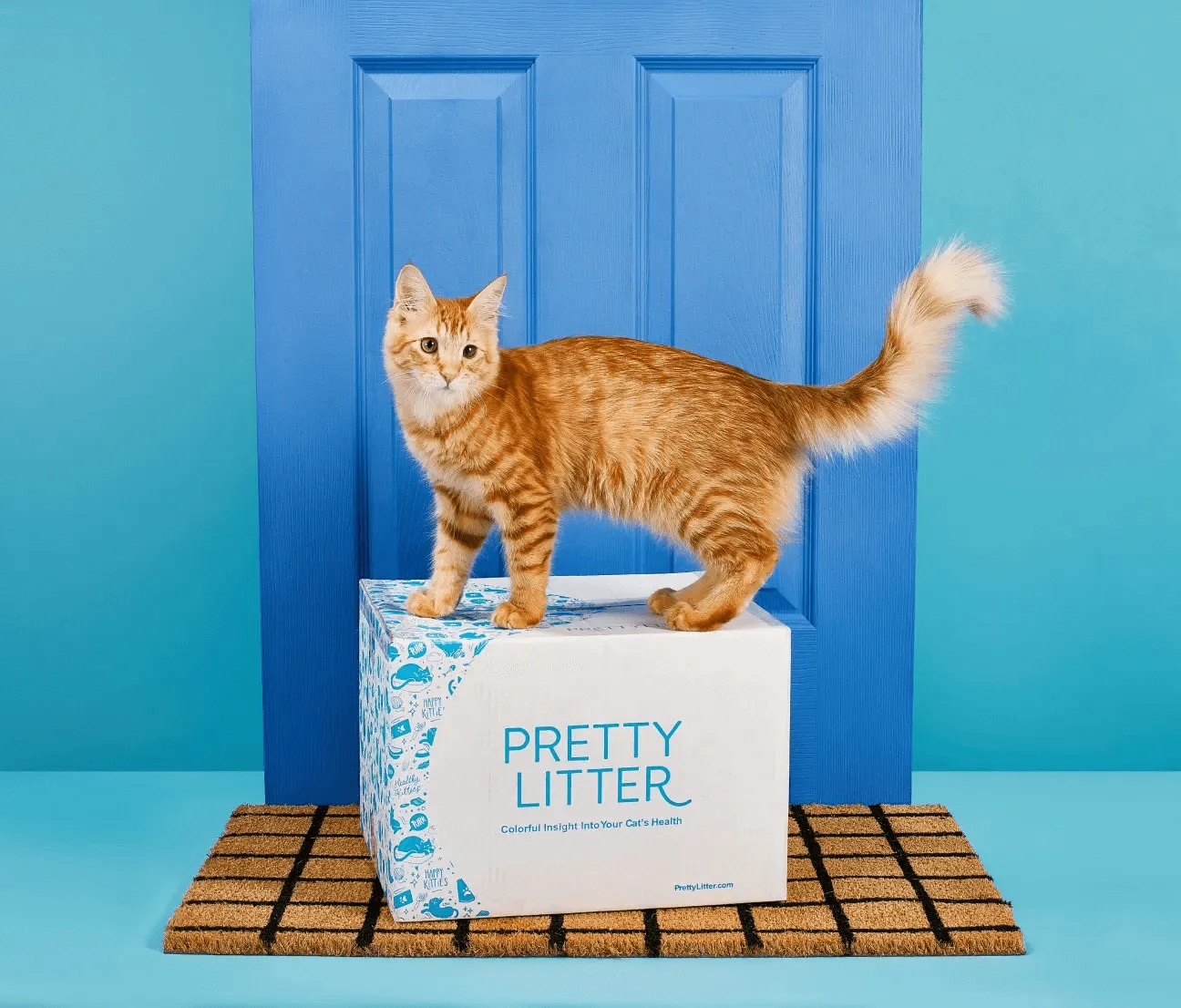 Over $500K in lost revenue recovered for PrettyLitter