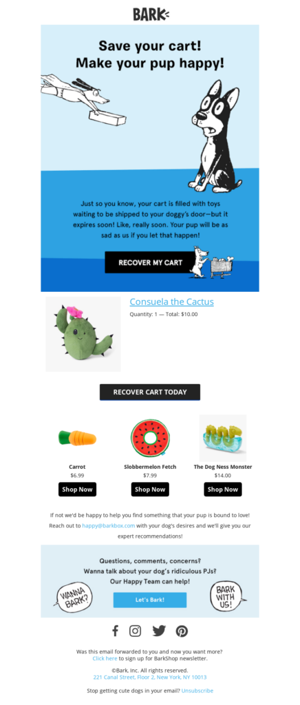 Abandoned cart email strategy example from Barkshop